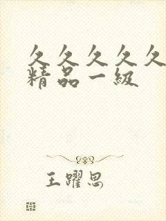 久久久久久国产精品一级