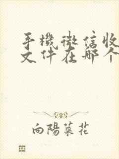 手机微信收到的文件在哪个文件夹