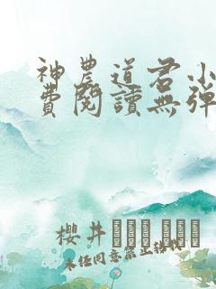 神农道君小说免费阅读无弹窗