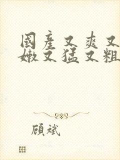 国产又爽又黄又嫩又猛又粗视频