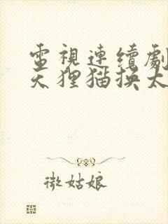 电视连续剧包青天狸猫换太子