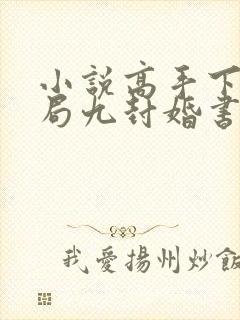 小说高手下山开局九封婚书