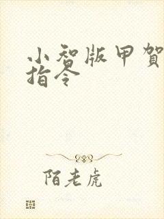 小智版甲贺忍蛙指令