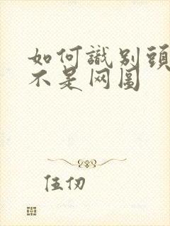 如何识别头像是不是网图