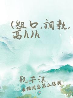 (粗口,调教,高h)h
