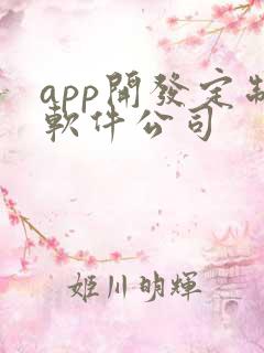 app开发定制软件公司
