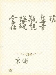 金梅瓶龚玥菲版在线观看