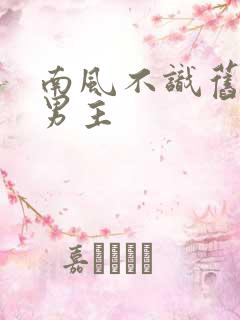 南风不识旧时人男主