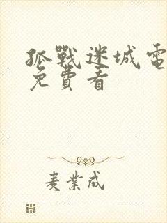 孤战迷城电视剧免费看