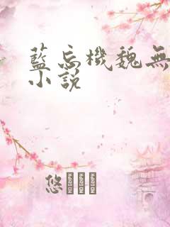 蓝忘机魏无羡的小说