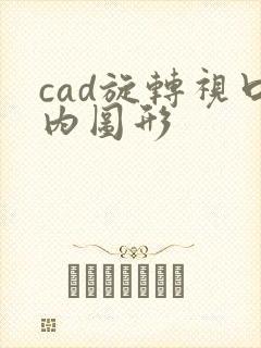 cad旋转视口内图形