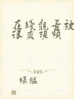 在线观看被舔的很爽视频