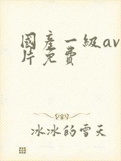 国产一级av国片免费