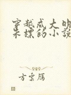 穿越成大明太子朱标的小说