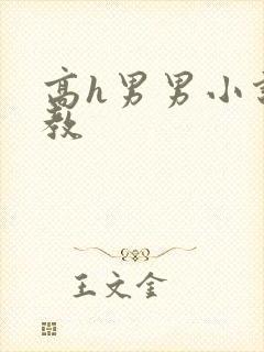 高h男男小说调教