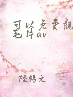 可以免费观看的毛片av