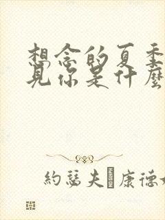 想念的夏季我遇见你是什么歌