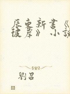 辰东新书《深空彼岸》 小说