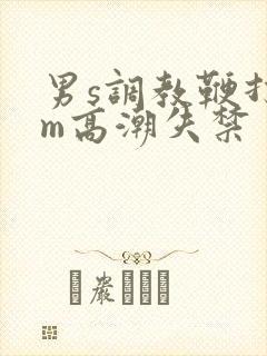 男s调教鞭打男m高潮失禁