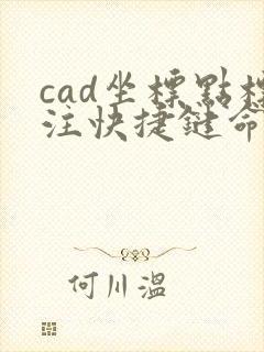 cad坐标点标注快捷键命令