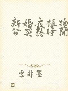 新婚夜植物人老公突然睁开眼睛