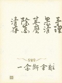 清除苹果手机缓存怎么清理