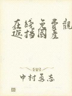 在线免费观看无遮挡国产