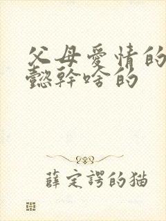 父母爱情的欧阳懿干啥的