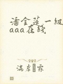 潘金莲一级淫片aaa在线