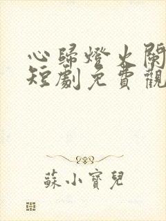 心归灯火阑珊处短剧免费观看大结局