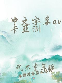 中文字幕av不卡亚洲
