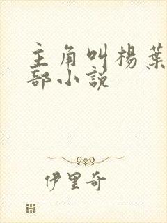 主角叫杨叶的全部小说