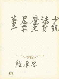 蕃尼魔法少女第二季免费观看