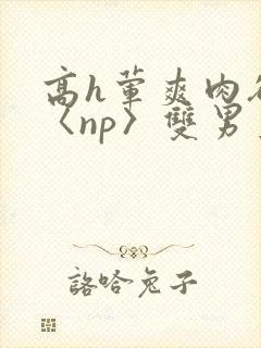 高h荤爽肉欲文〈np〉双男主