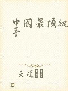 中国最顶级的杀手