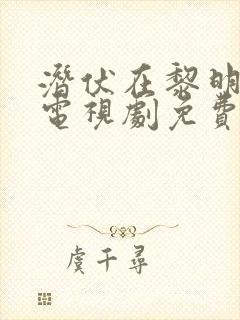 潜伏在黎明之前电视剧免费看全集