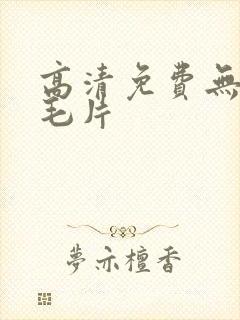 高清免费无遮挡毛片