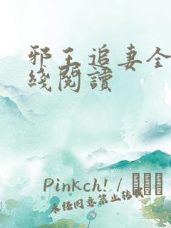 邪王追妻全文在线阅读