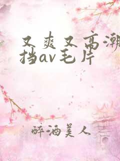 又爽又高潮无遮挡av毛片