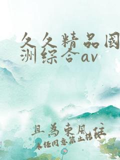 久久精品国产亚洲综合av