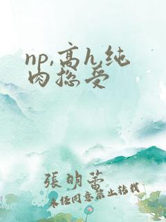 np,高h,纯肉总受