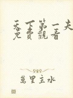 天下第一夫短剧免费观看