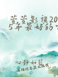 萱萱影视2025年最好的电视剧