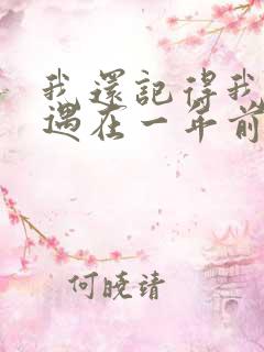 我还记得我们相遇在一年前是什么歌