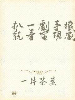 扒一剧手机在线观看电视剧