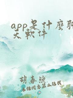 app是什么聊天软件
