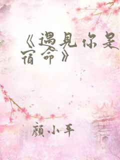 《遇见你是我的宿命》