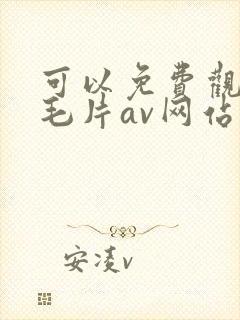 可以免费观看的毛片av网站