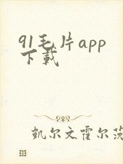 91毛片app下载