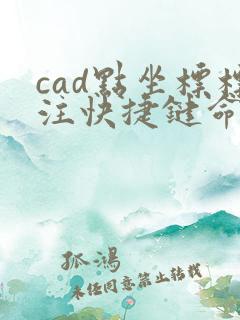 cad点坐标标注快捷键命令